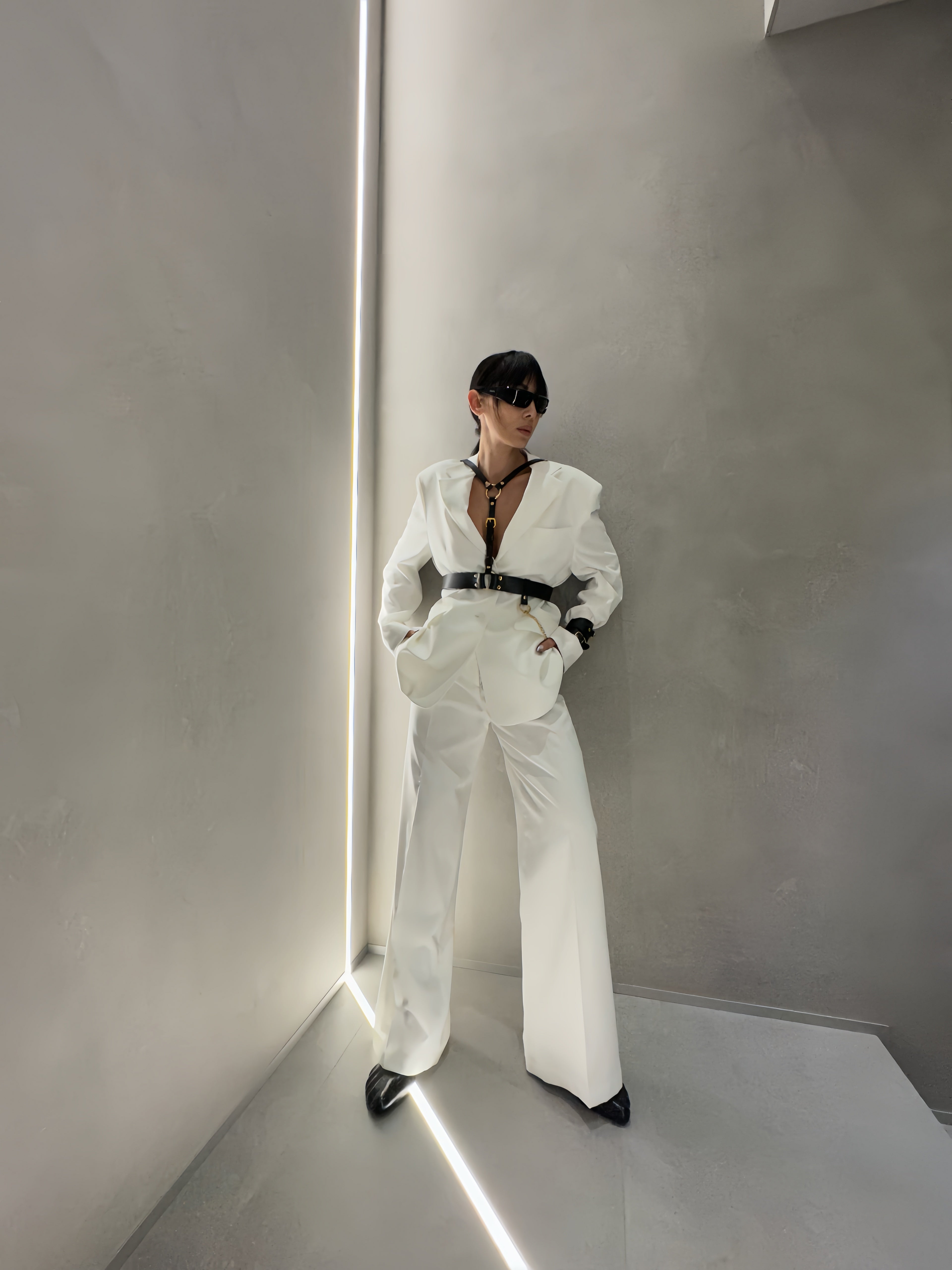 Harness Mag