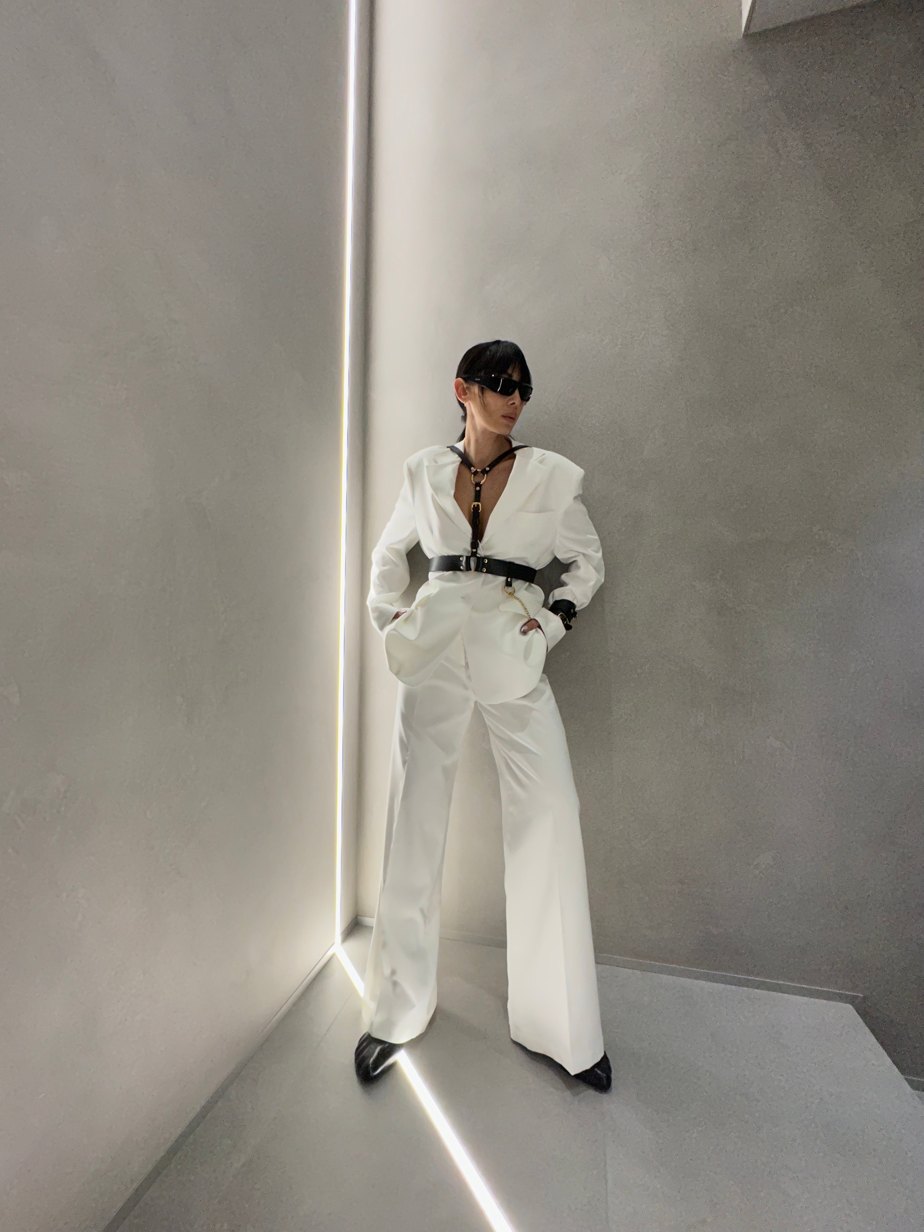 Harness Mag