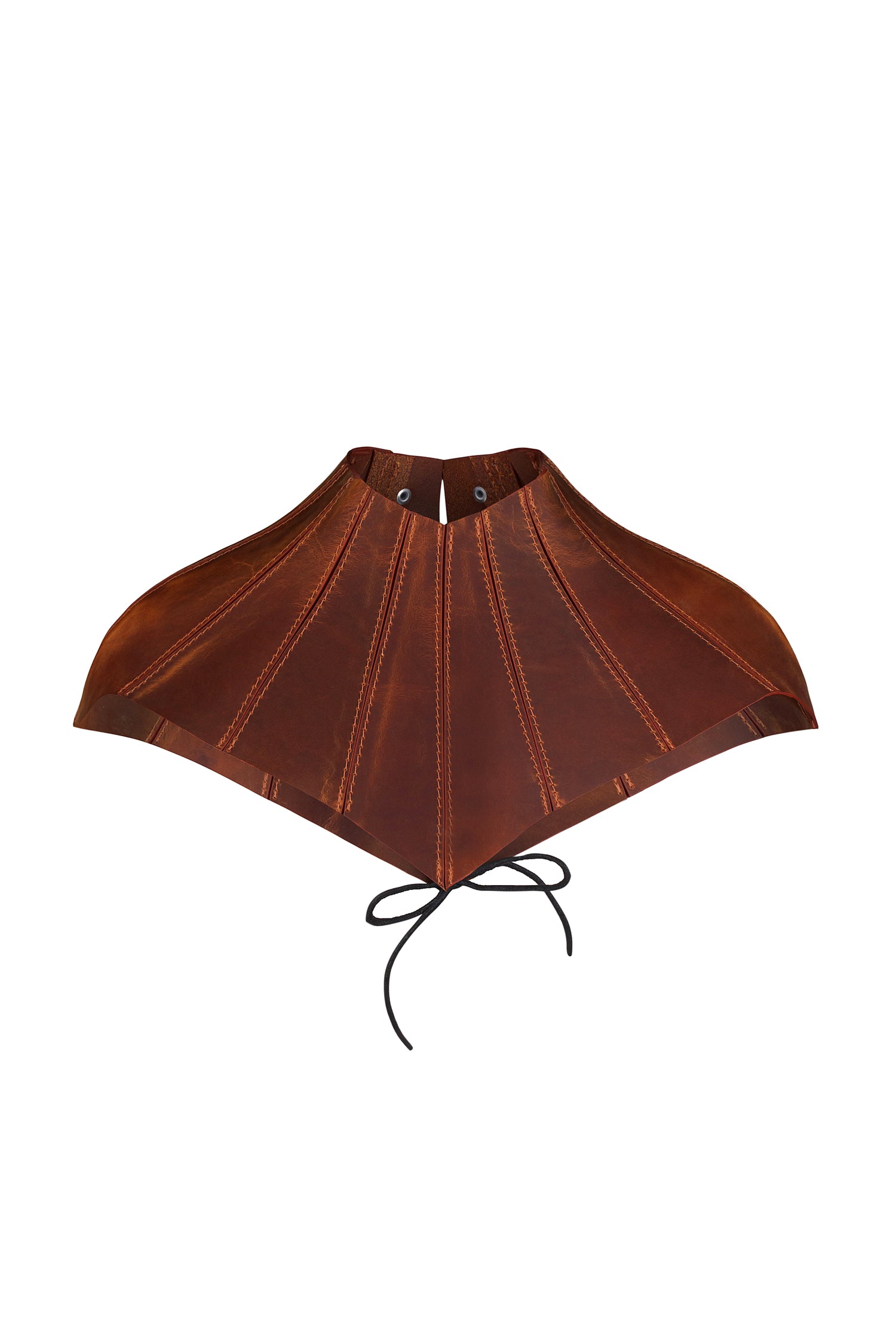 Cape Elowen Brown crazy horse